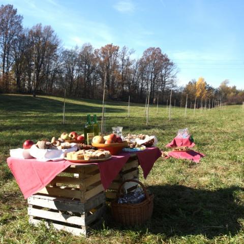 Public Orchard and Nectar Garden