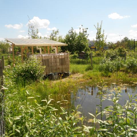 Bizardin Pool and Rain Water Recuperation (2012)