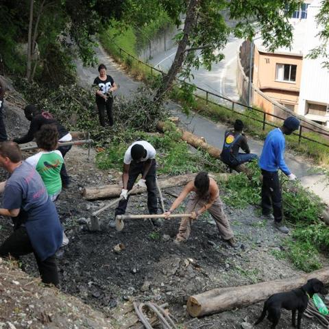 Collective Work at OrtoCollettivo