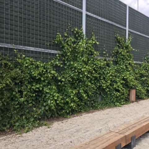 Green Acoustic Screens by Grota-Roweckiego Street