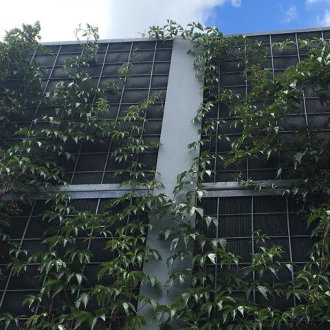 Green Acoustic Screens by Grota-Roweckiego Street