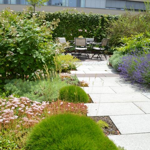 Green Roof of the Diakonissen Klinik Augsburg