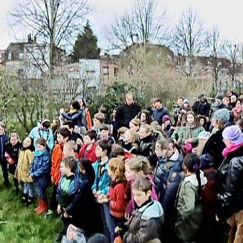 Bizardin Games (2016)