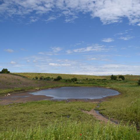 Afforestation Near the Aabo Waterwork Catchment in Aarhus