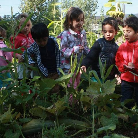 Community Bio-Garden in Vitosha