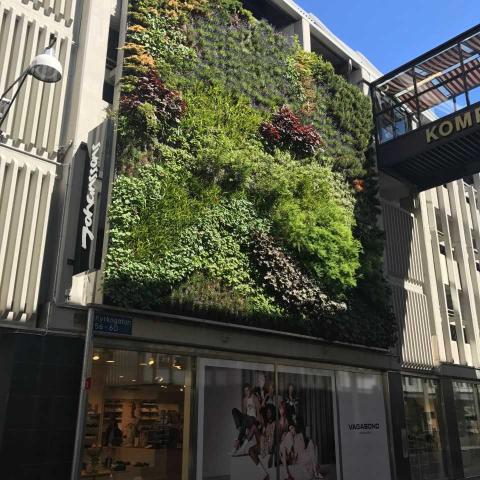 Green facade Vasakronan