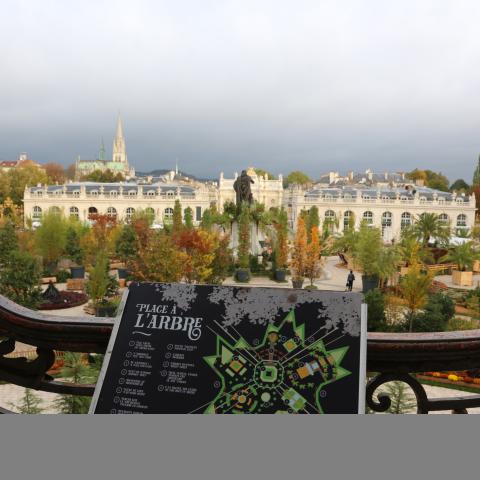 Ephemeral Gardens of Place Stanislas (2017)