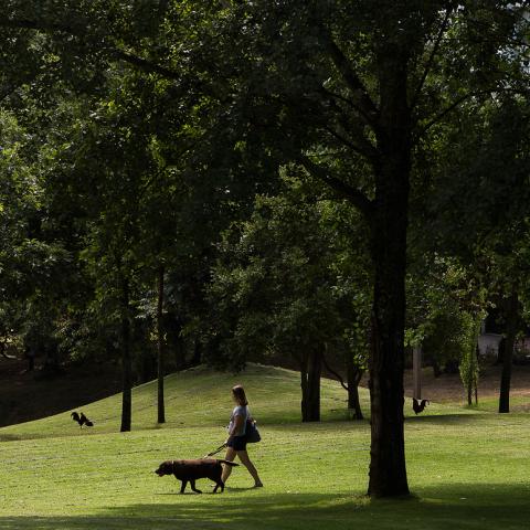 Pasteleira Urban Park