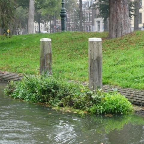 Floating Vegetation Island