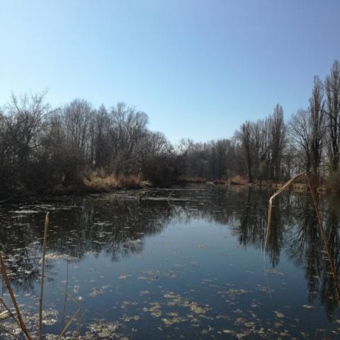 Revitalization of the Holásecká  Lakes