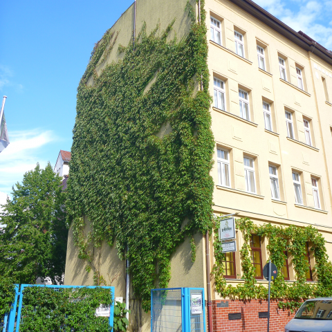 Green Facade in Connewitz, Leipzig
