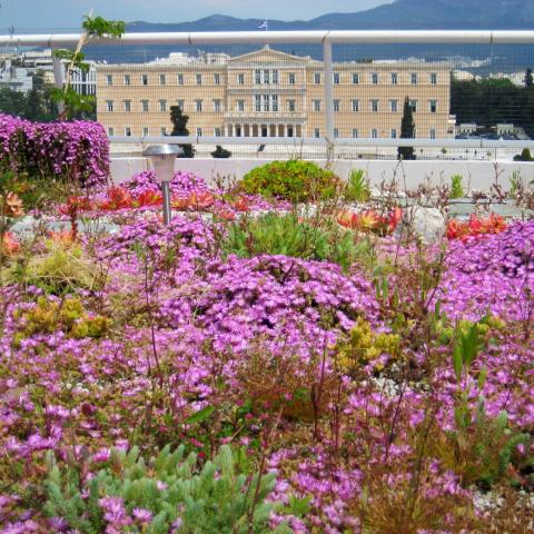 The Green Roof of the Ministry of Economics and Finance 