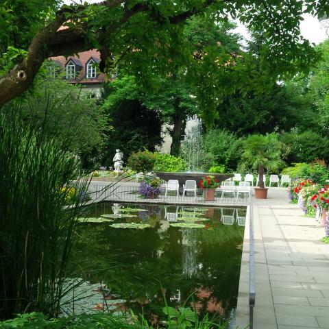 Interior of the Hofgarten (2015)