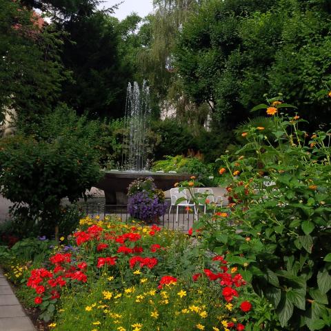 Interior of the Hofgarten (2015)