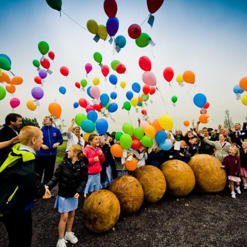 Mersey Forest - Liverpool Mab Lane (2010)
