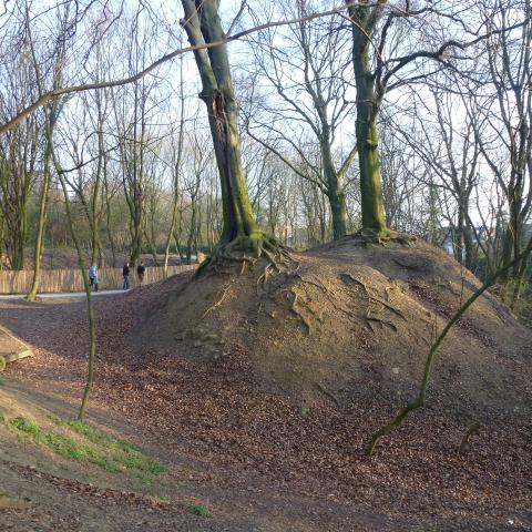 Interconnected Public Paths at Chartreuse Park (2014)