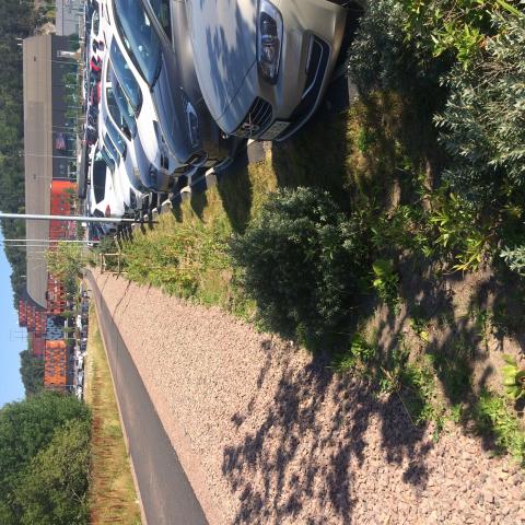 Rain gardens in Kviberg 