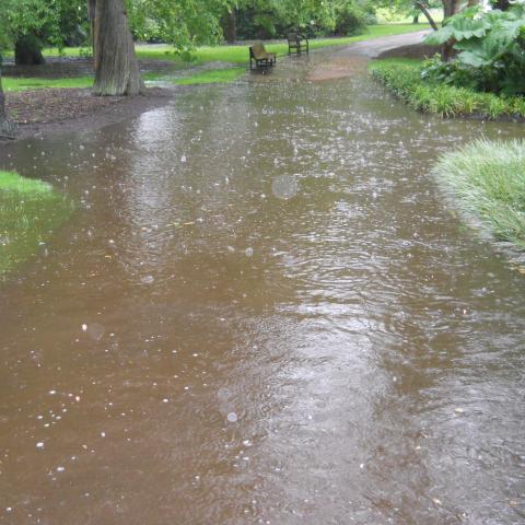 Flooding at the Royal Botanic Garden Edinburgh (2012)