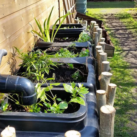 Raingarden Planters at the Royal Botanic Garden Edinburgh