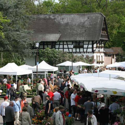 Sainte Marie Park and Festival of Nature (2008)