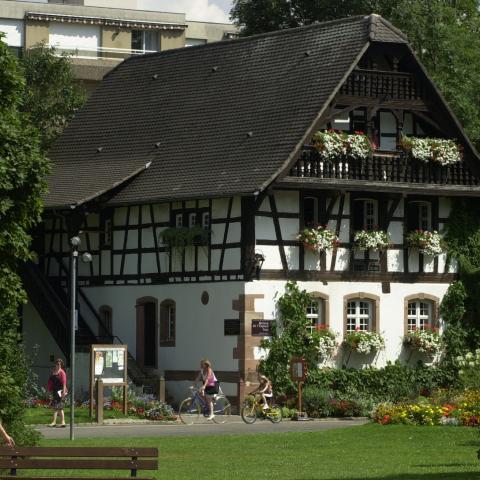 Sainte Marie Park and Festival of Nature