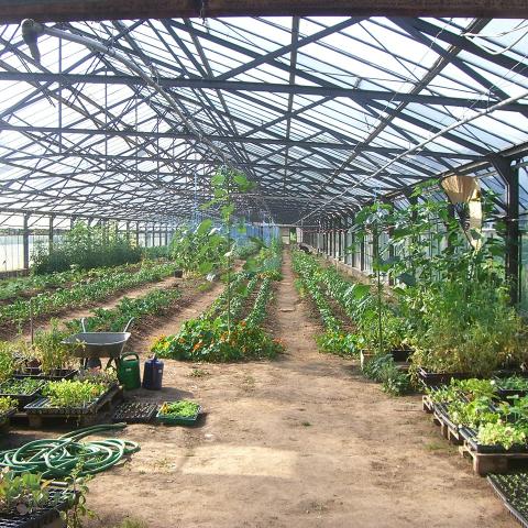 Social garden in Wolfartsweier (2010)