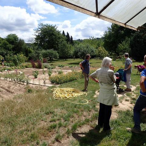 Social garden in Wolfartsweier (2017)