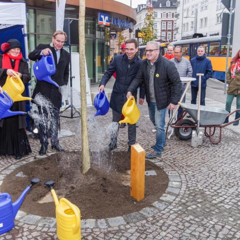 Citizen Tree Sponsorship Program (2016)