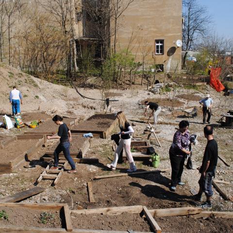 Urban Gardening in Ljubljana 