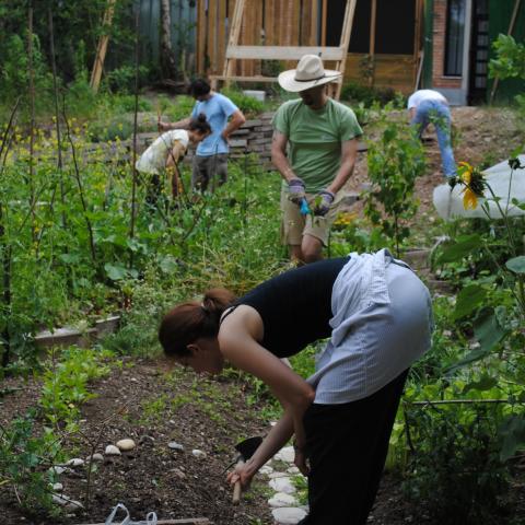 Urban Gardening in Ljubljana 