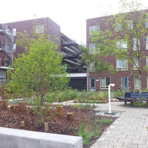 Green Public Square (2014)