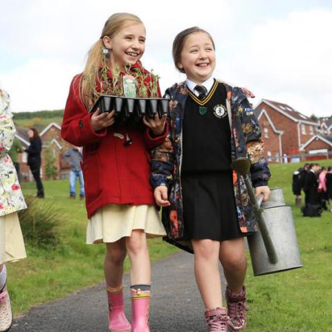 Mount Eagles Wildflower Meadow (2015)